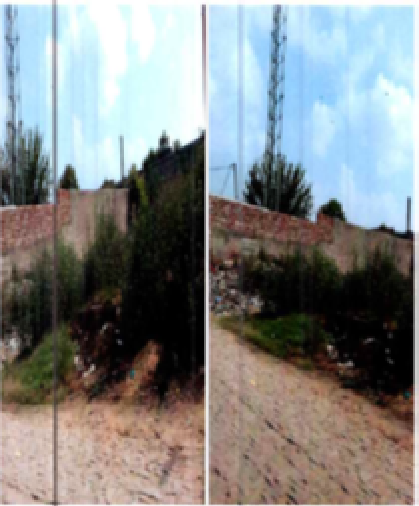 EAGLE SHEETGRAH-13082401